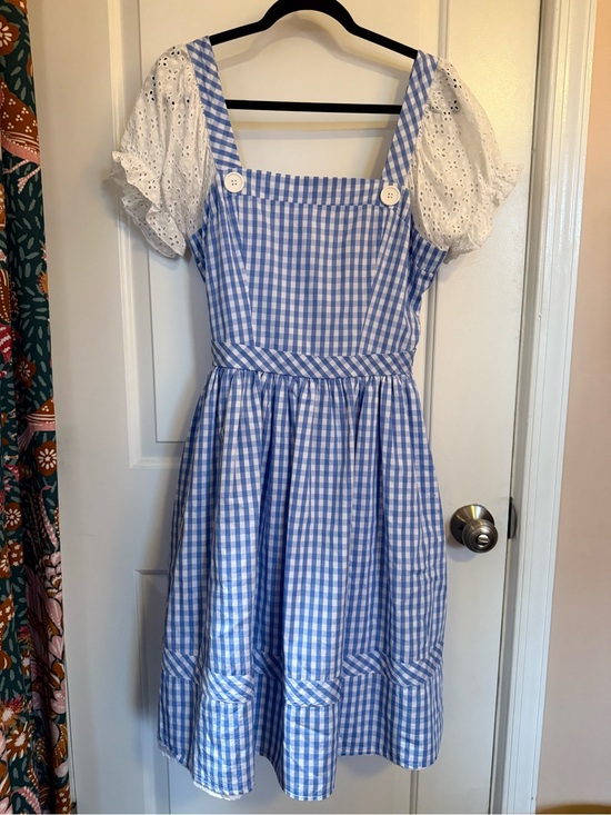 Spirit Dresses & Skirts - Wizard of Oz Dorothy Halloween Costume Size L